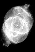 Cat's Eye Nebula, NASA HSTI #PRC 95-01A (alt. detail)